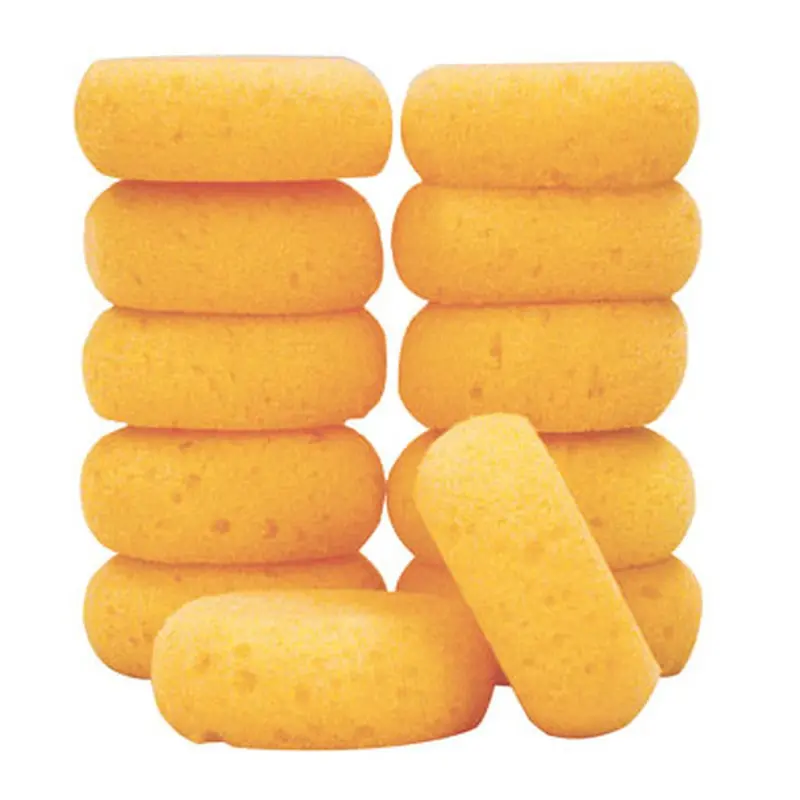 Hydra Tack Sponges 1