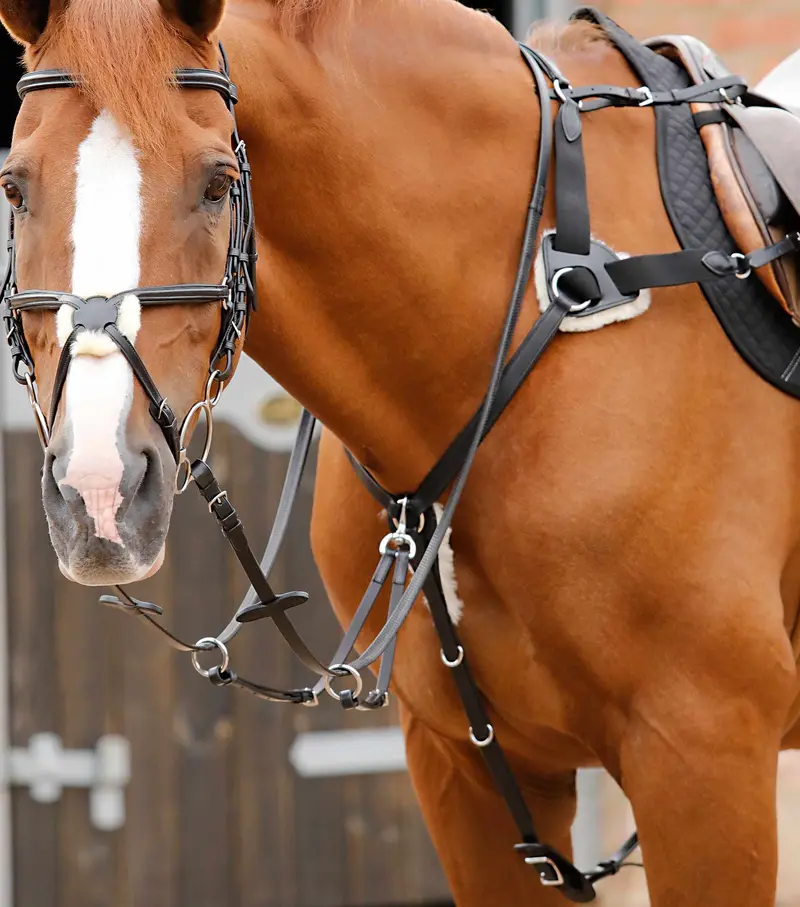 Invorio 5 Point Breastplate Black 1