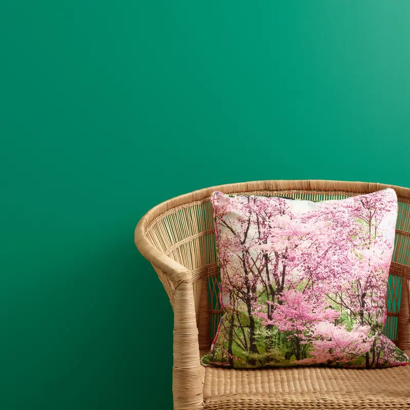 Irish Dance Wall Paint 2