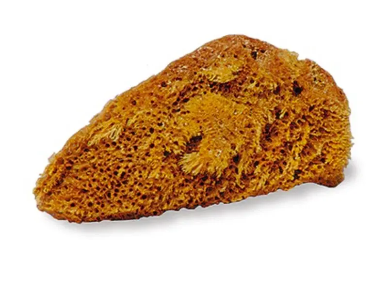 Jack's Small Natural Tack Sponge 1