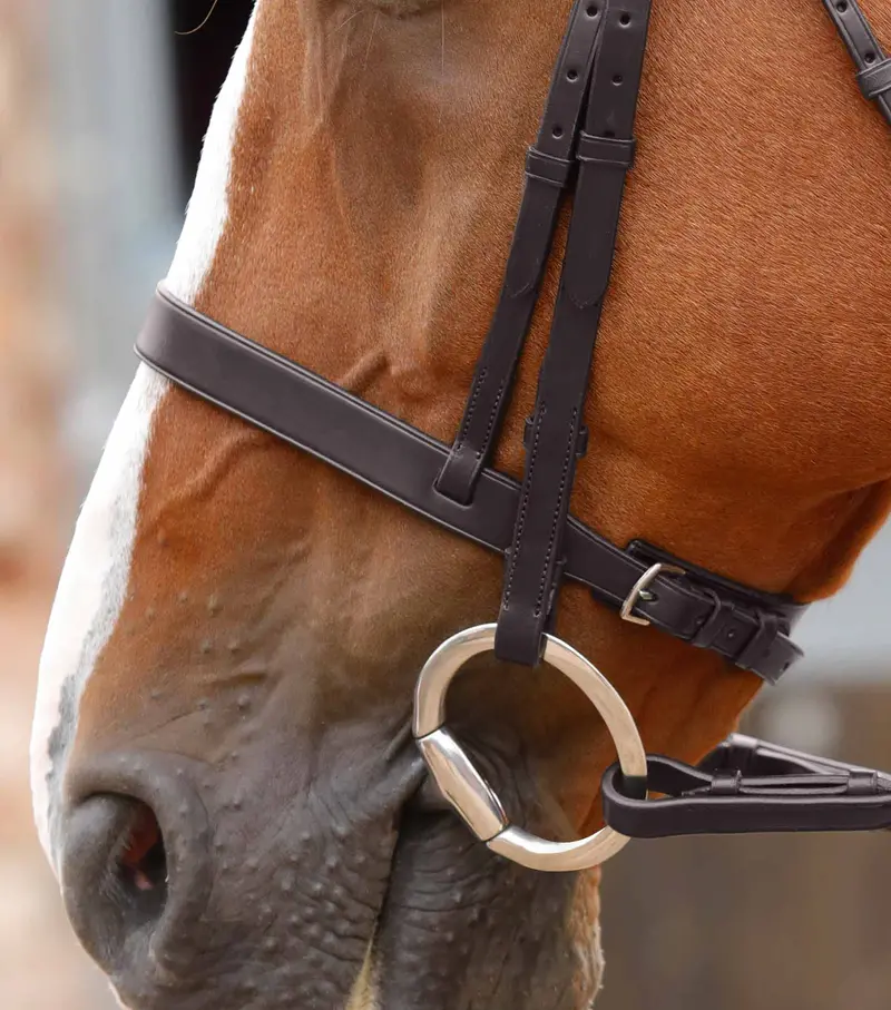 Jointed Flat Ring Eggbutt Snaffle 2