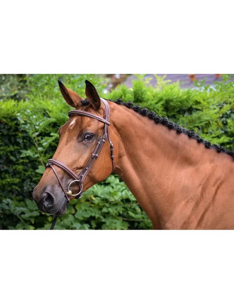 Jump'in One Collection Paris Bridle 1