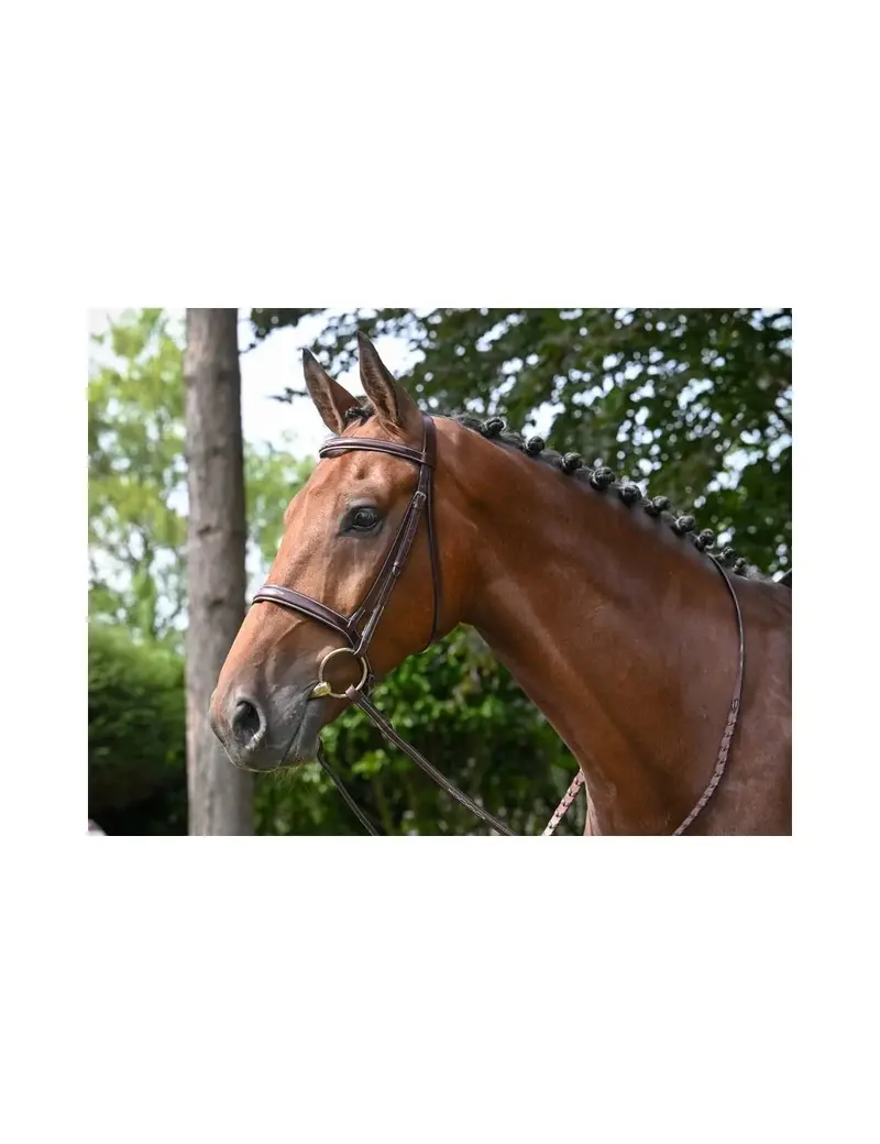 Jump'in Week Hunter Bridle 1