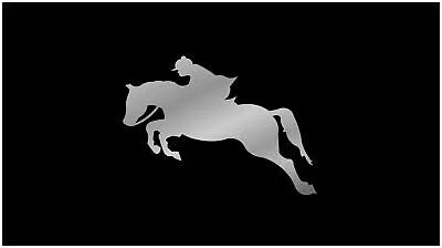 Jumping Horse Lazer-Tag Acrylic License Plate (Black) 1