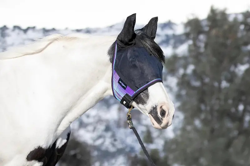 Kensington Uviator Fly Mask 10