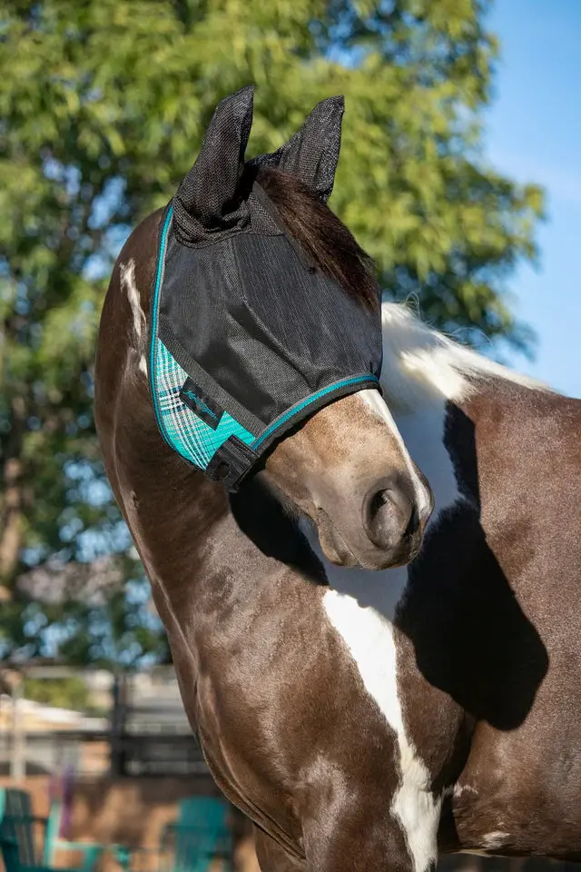 Kensington Uviator Fly Mask 12