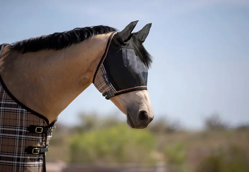 Kensington Uviator Fly Mask 7