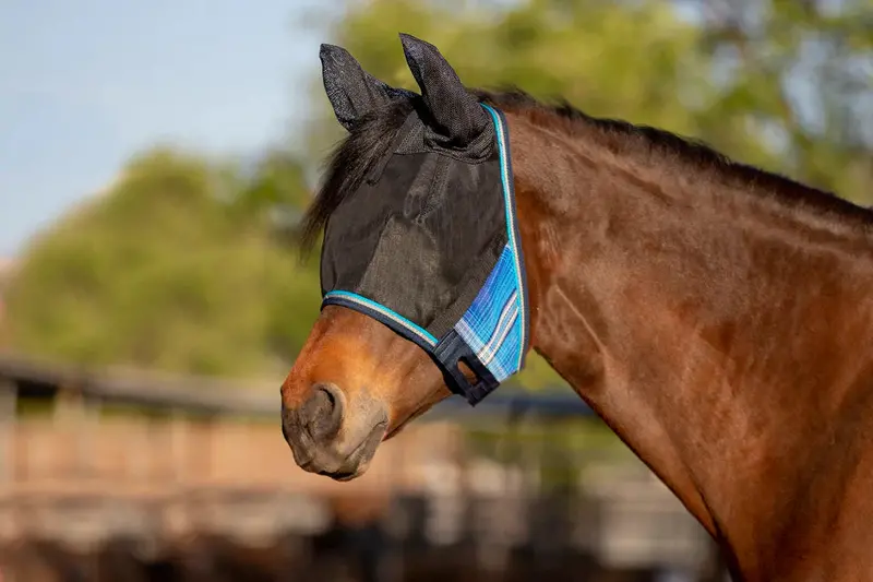 Kensington Uviator Fly Mask 9