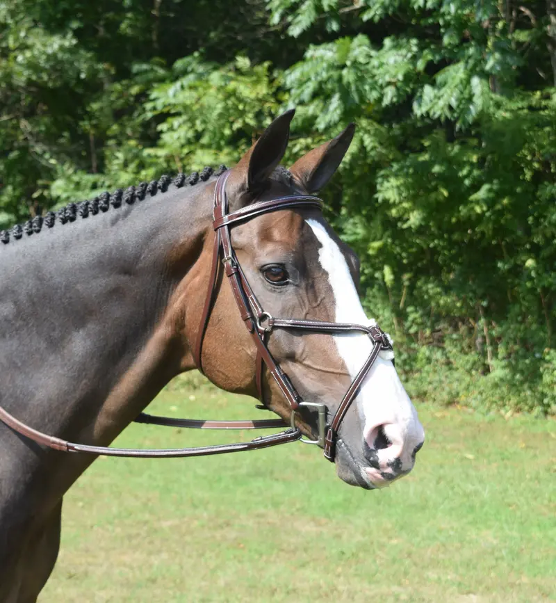 Kl Equinox Figure 8 Noseband 1