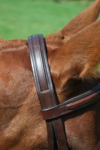 Kl Italia Middleburg Bridle 2