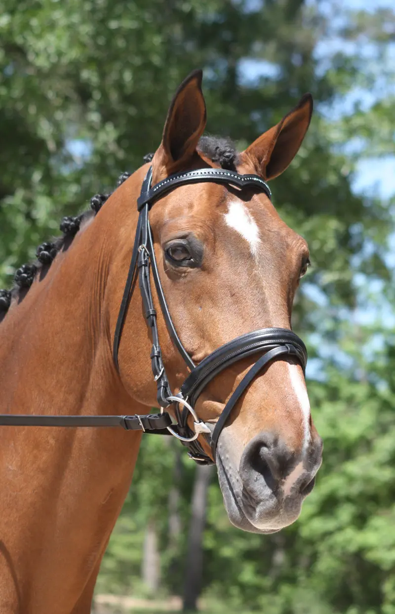 Kl Italia Pirouette Bridle (Disc) 1