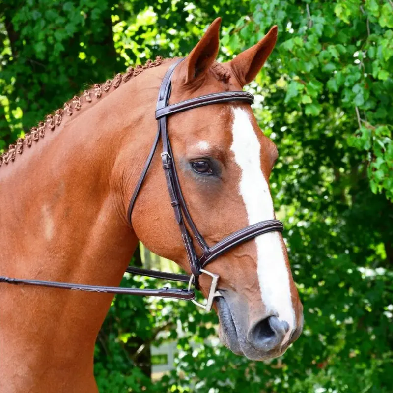 Kl Select Black Oak Aster Hunter Bridle 1
