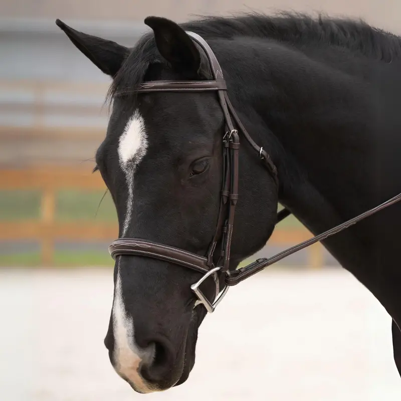 Kl Select Black Oak Cyprus Hunter Bridle 1