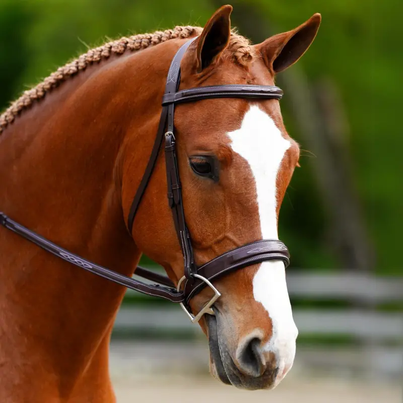 Kl Select Black Oak Tupelo Hunter Bridle With Laced Reins 1