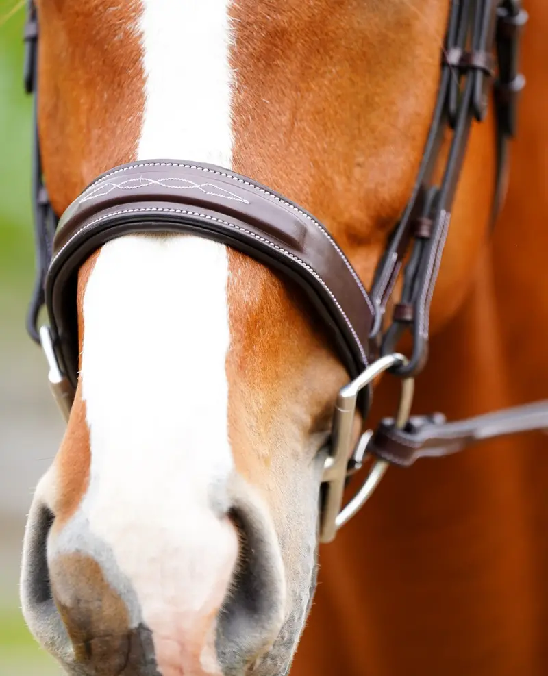 Kl Select Black Oak Tupelo Hunter Bridle With Laced Reins 2