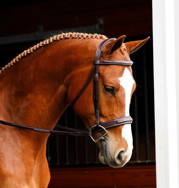 Kl Select Black Oak Tupelo Hunter Bridle With Laced Reins 3
