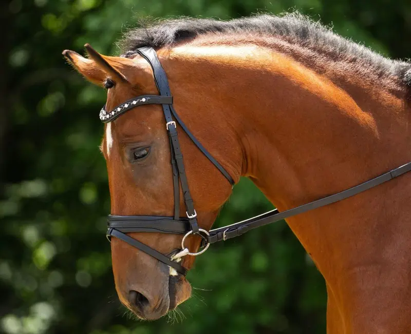 Kl Select Daphne Dressage Bridle 1