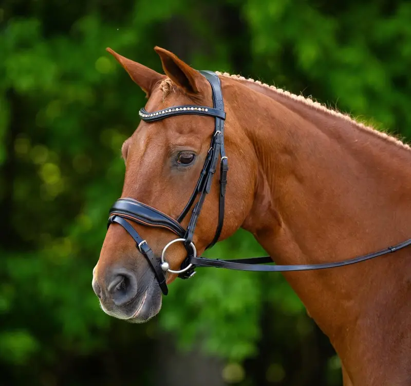 Kl Select Elite Dressage Bridle 1