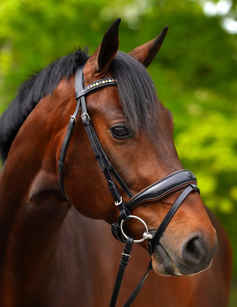 Kl Select Elite Dressage Bridle 1