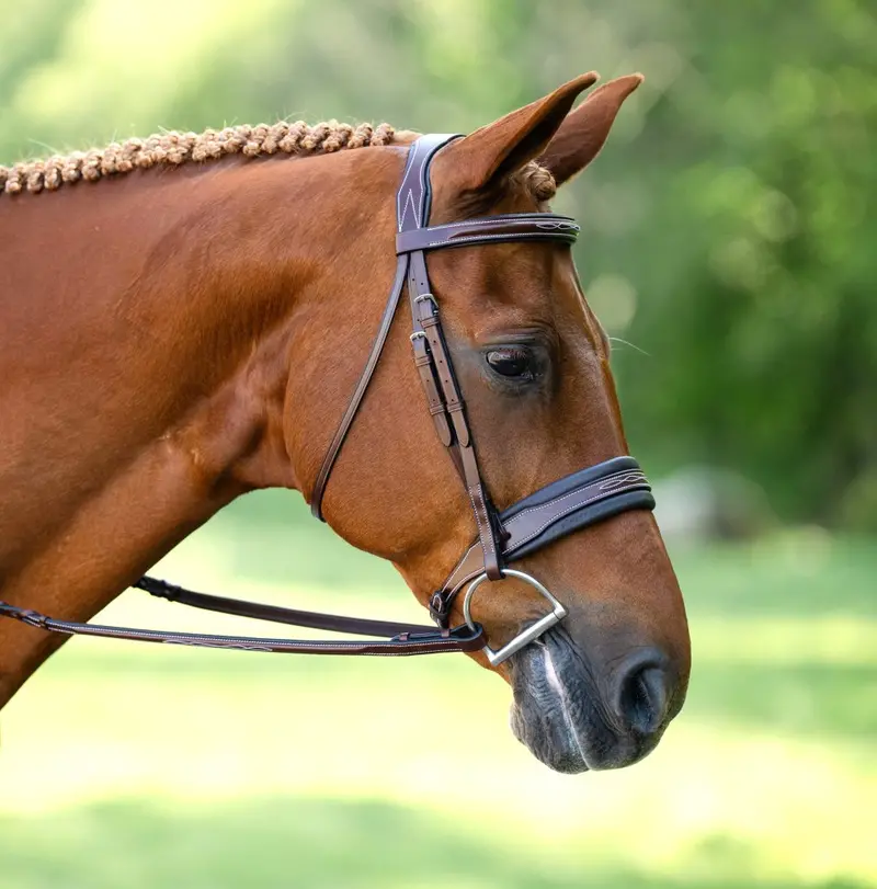 Kl Select Lexington Hunter Bridle 1