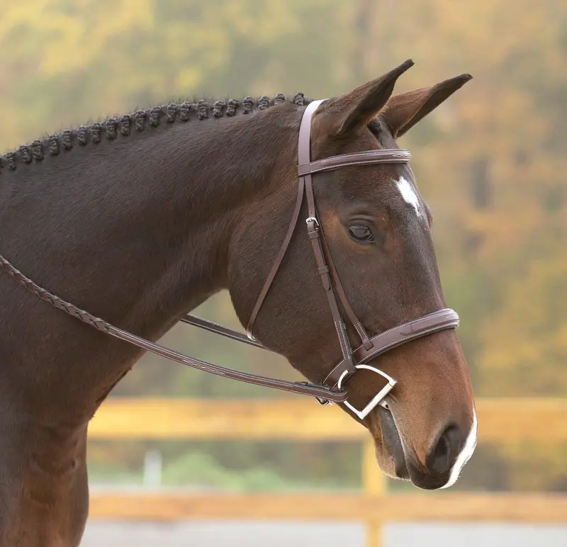 Kl Select Red Barn Tryon Bridle 1