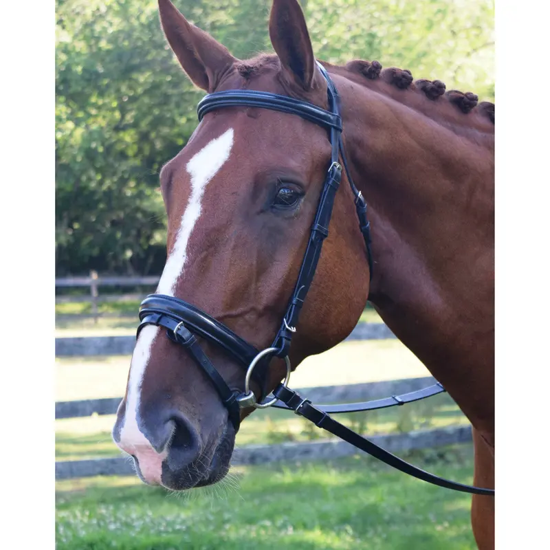 Kl Select The Black Oak Economy Juniper Dressage Bridle 1