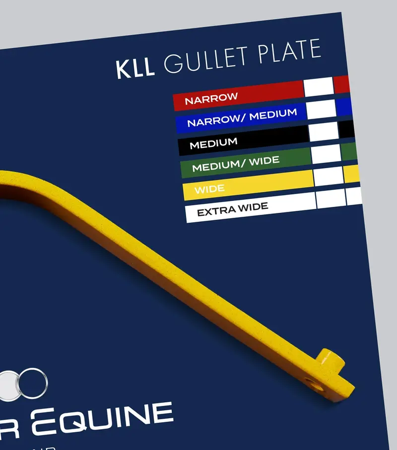 Kll Gullet Plate 4