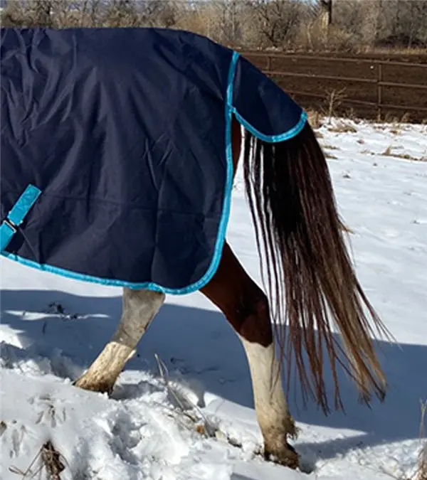 Kratos Turnout Blanket 1200 Denier With 260Gm Lining 3