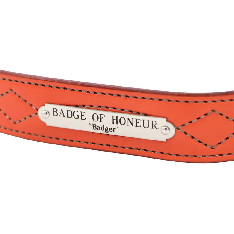 Larger Ornamental Saddle Plate 1