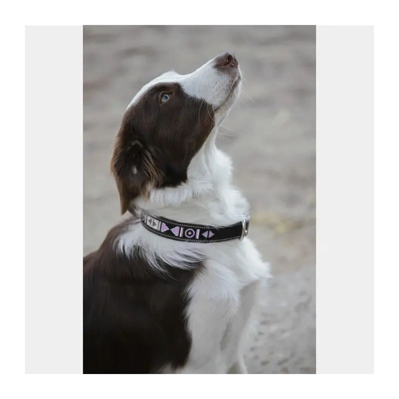 Leather Pearl Dog Collar – Pénélope Pet Collection
