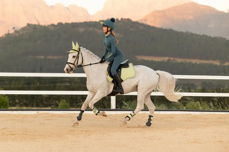 Lemeiux Young Rider Classique Base Layer 2