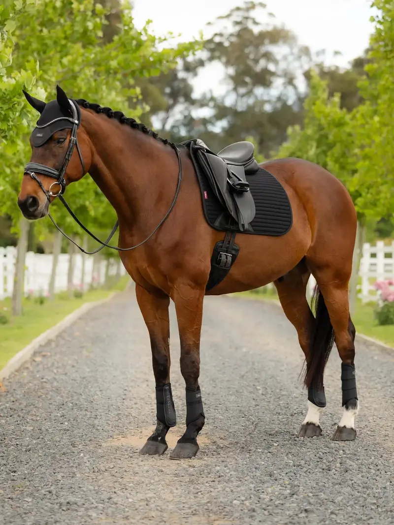 Lemieux Air-Tek Mesh Dressage Square 1