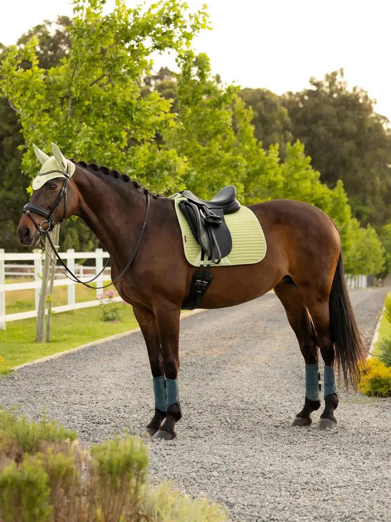 Lemieux Air-Tek Mesh Dressage Square 5