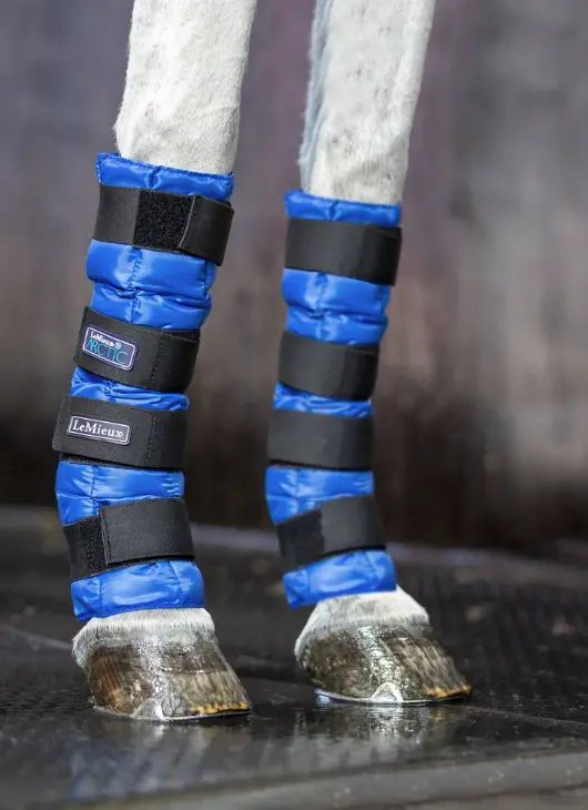 Lemieux Arctic Ice Boot One Size (Pair) 2