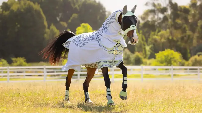 Lemieux Arika Camo-Tek Fly Rug 1