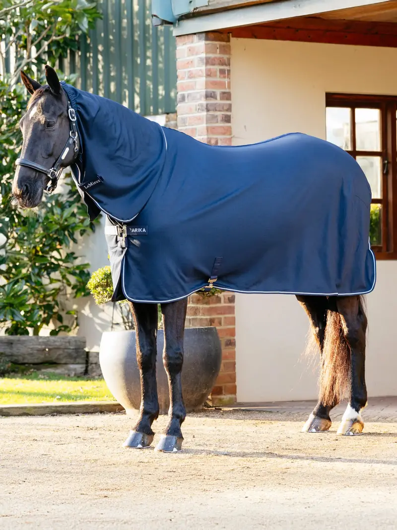 Lemieux Arika Dryease Blanket 1