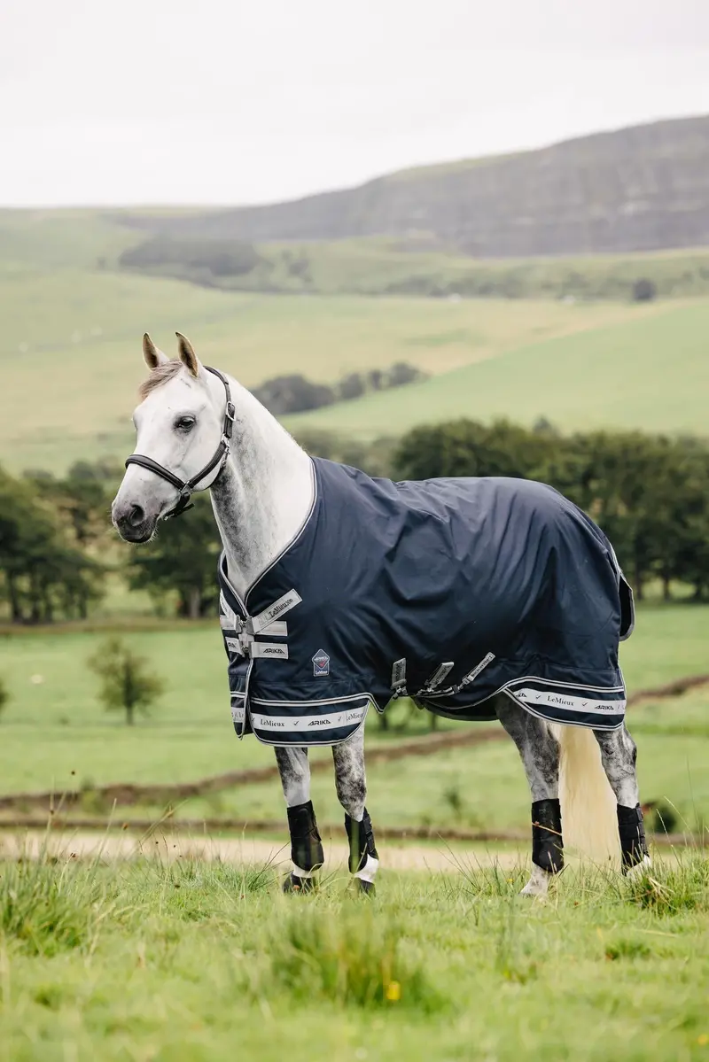 Lemieux Arika Featherweight Rug 0G 1