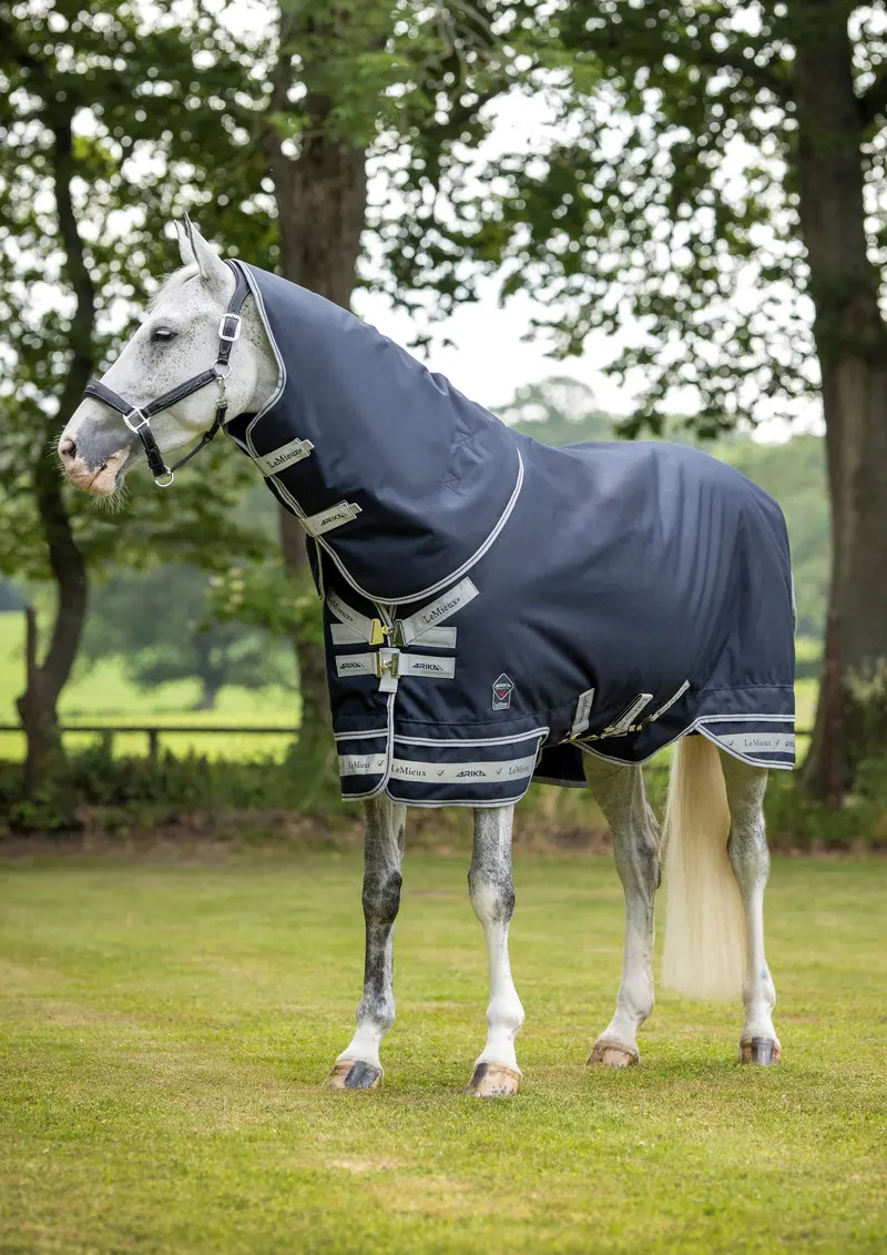 Lemieux Arika Featherweight Rug 0G 2