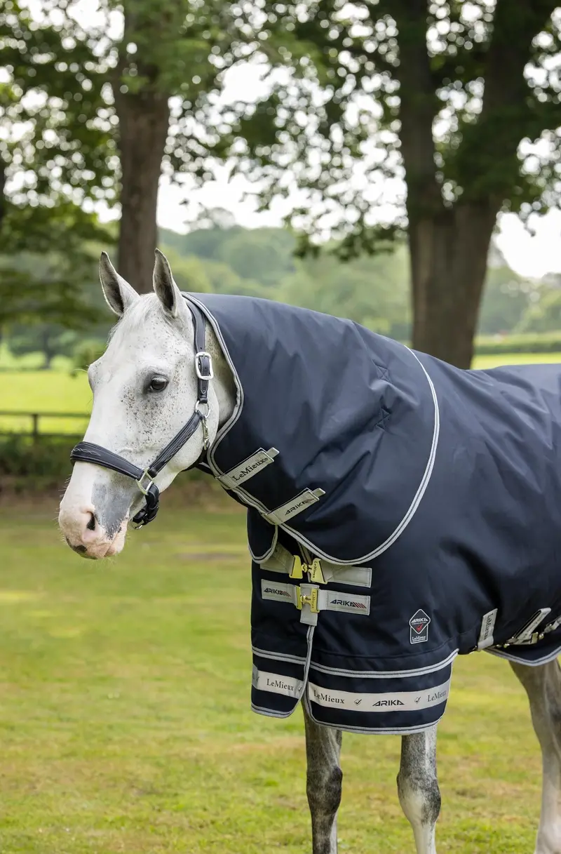 Lemieux Arika Featherweight Rug 0G 3