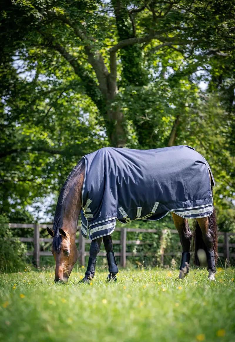 Lemieux Arika Featherweight Rug 0G 4