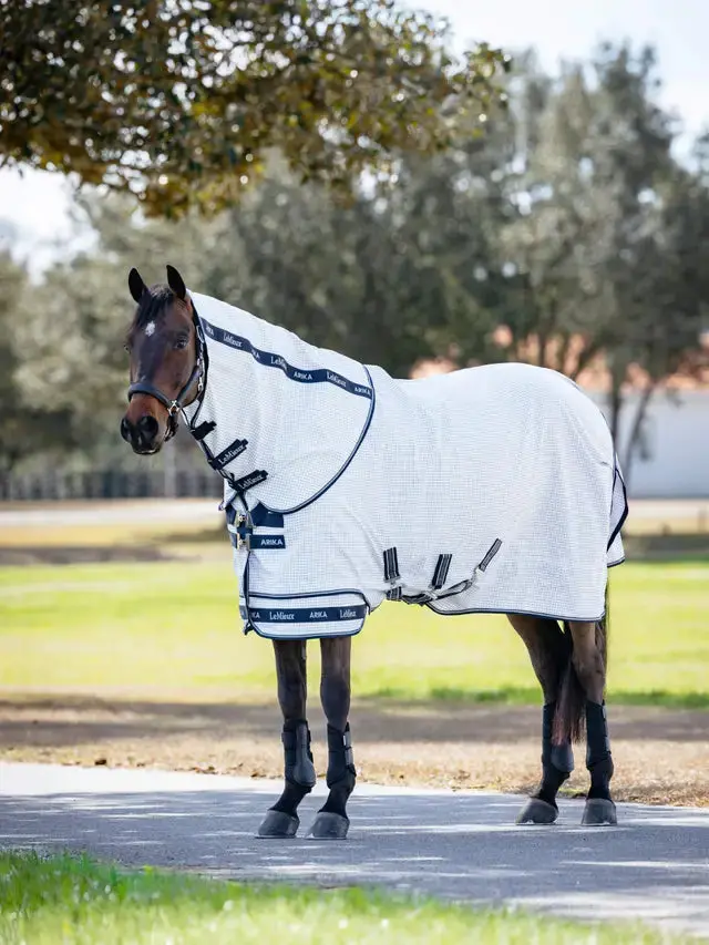 Lemieux Arika Field Blanket 1