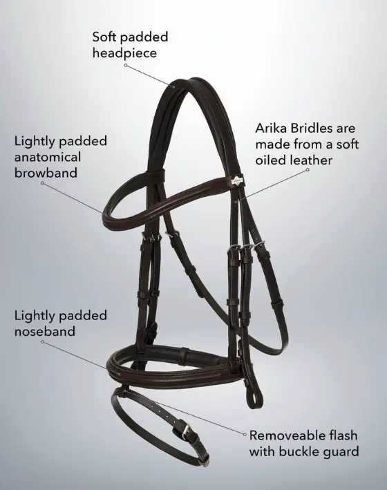 Lemieux Arika Flash Bridle 1