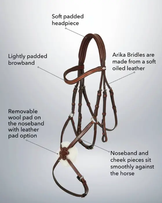 Lemieux Arika Grackle Figure 8 Bridle 1