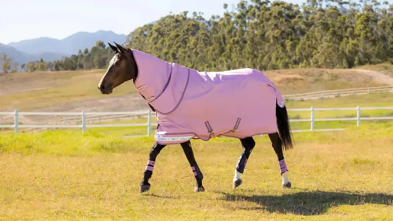 Lemieux Arika Ripstop 0G Turnout Rug 1