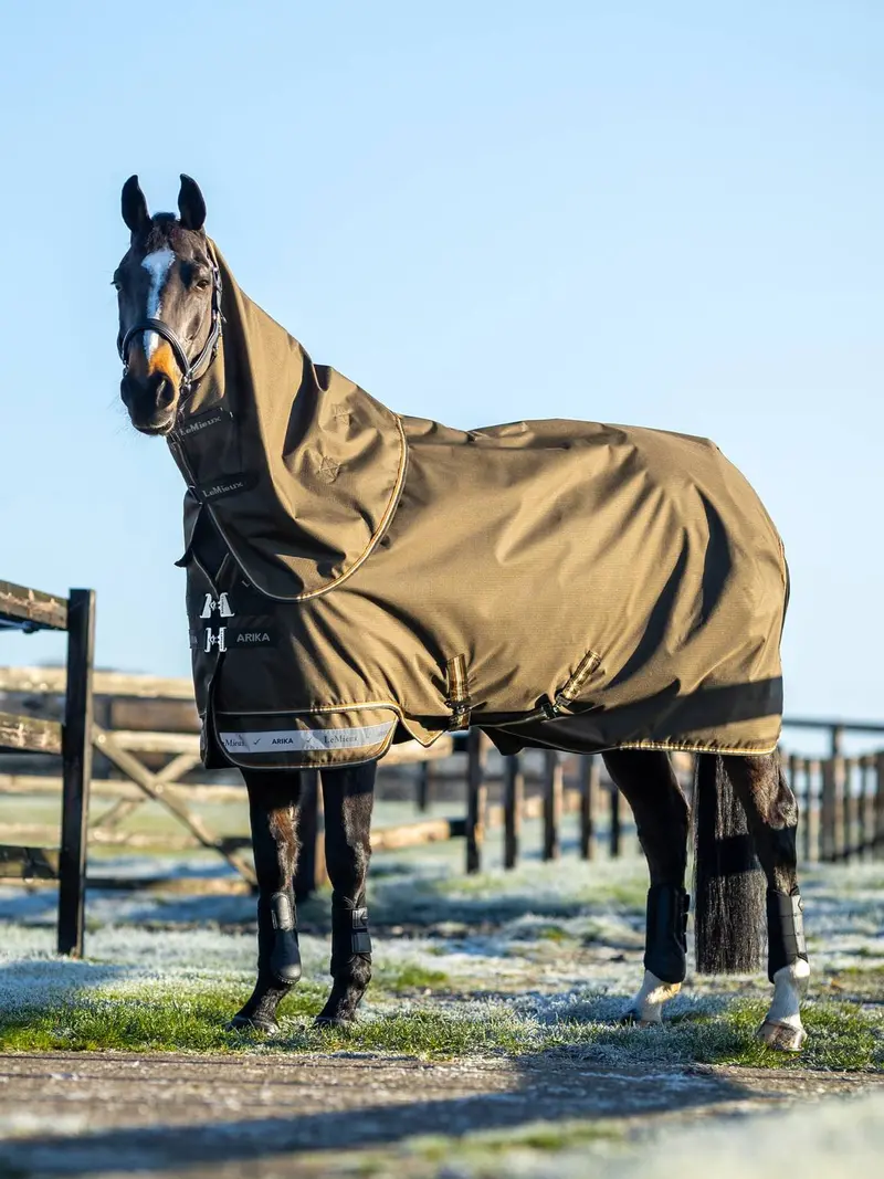 Lemieux Arika Ripstop 100G Turnout Rug 1
