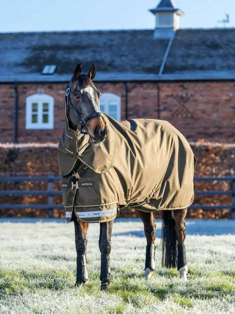 Lemieux Arika Ripstop 200G Turnout Rug 1