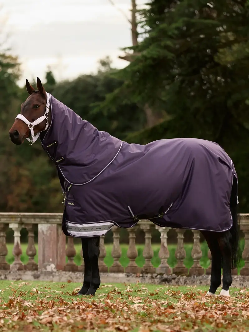Lemieux Arika Ripstop 200G Turnout Rug 2