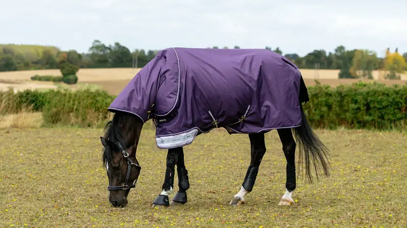 Lemieux Arika Ripstop 200G Turnout Rug 3