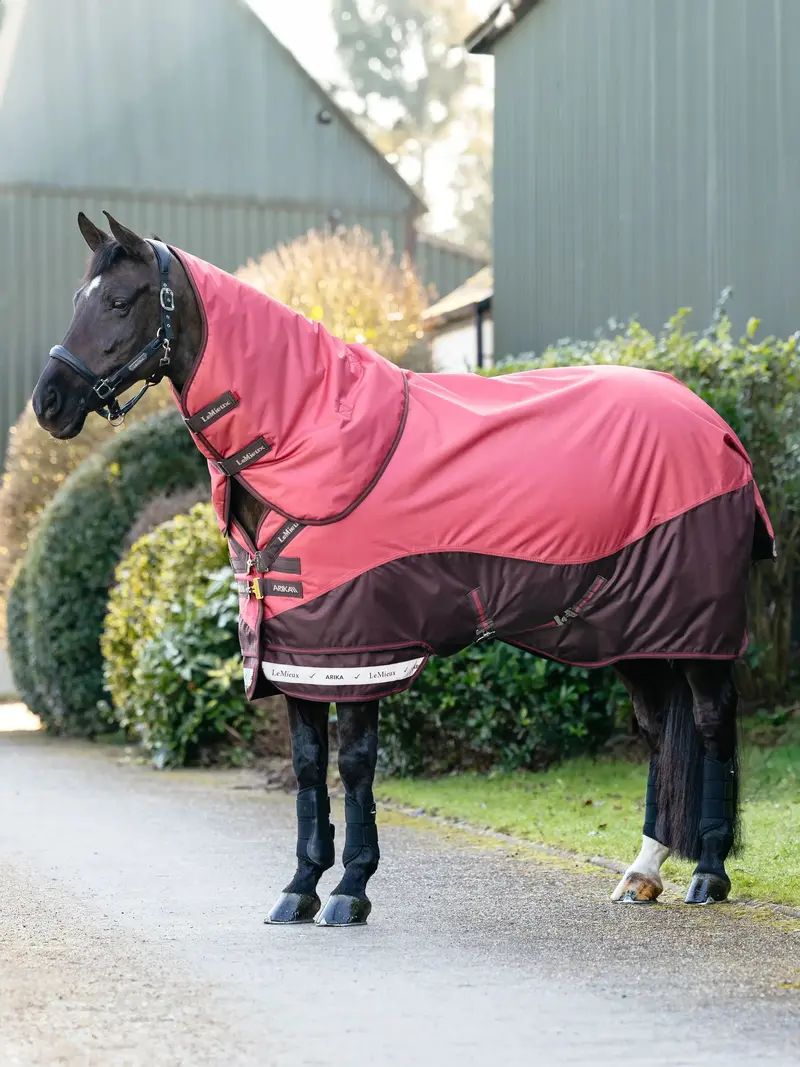 Lemieux Arika Ripstop 200G Turnout Rug 4