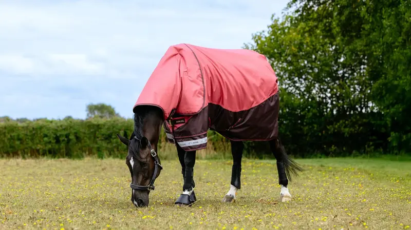 Lemieux Arika Ripstop 200G Turnout Rug 5